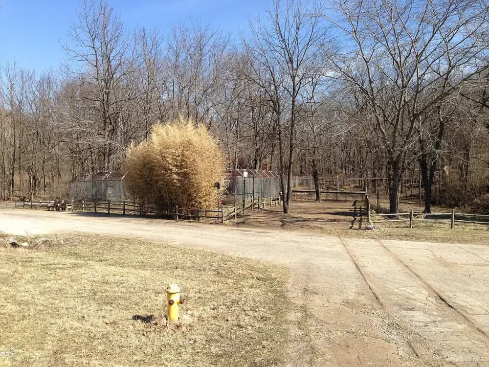 Endangered Wolf Center