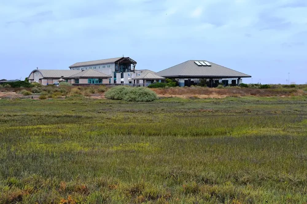 Living Coast Discovery Center