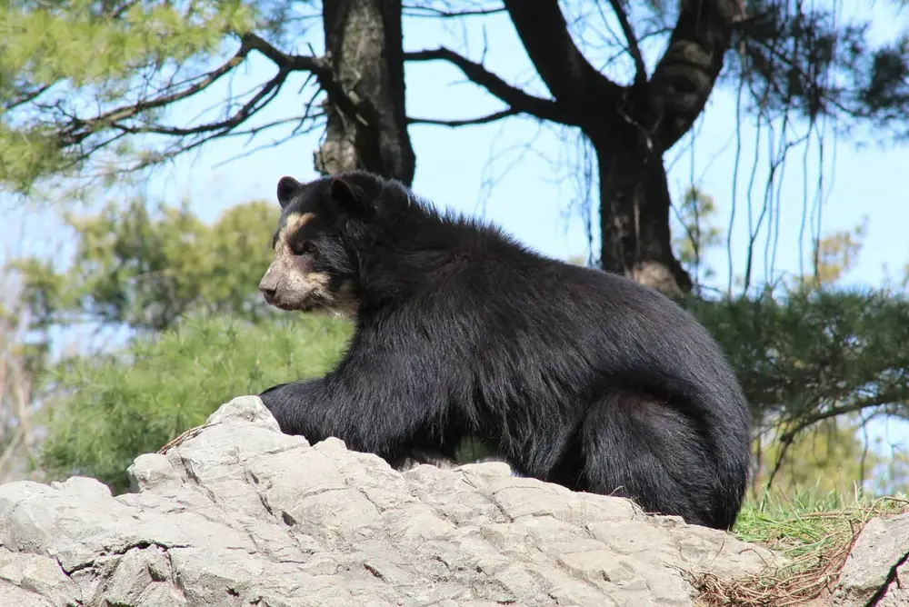 Queens Zoo