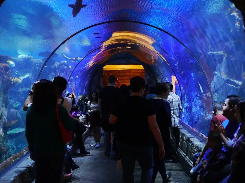 Shark Reef at Mandalay Bay