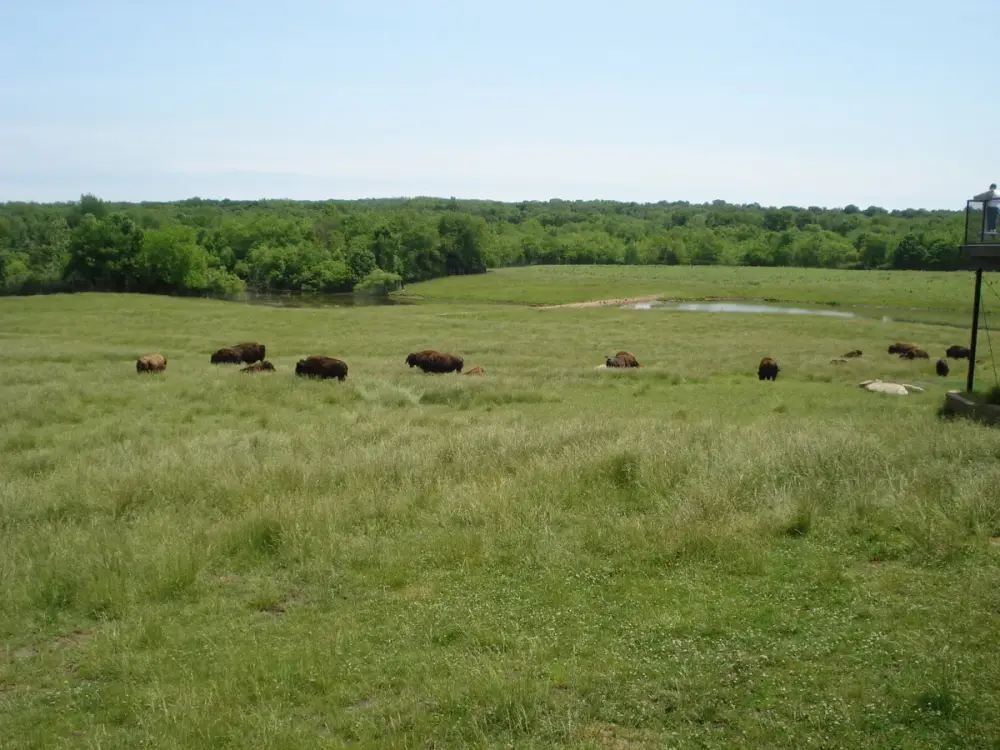 Wildlife Prairie Park